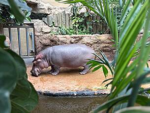 Vergrößert das Bild: "/realschule-wAssets/img/ZOO-Jahrgang7-2026/FullSizeRender-1.JPG"