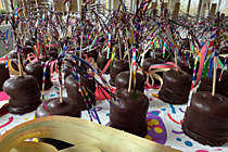 Vergrößert das Bild: "/realschule-wAssets/img/aktuelles/IMG_0372-2.png"