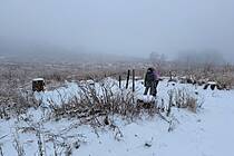 Vergrößert das Bild: "/realschule-wAssets/img/Paula_Jaeger_Wald.jpeg"