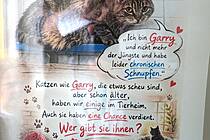 Vergrößert das Bild: "/realschule-wAssets/img/Tierheim_Spenden_KrafftKoensgen1.JPG"