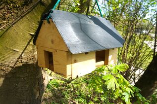 Wenn Nachhaltigkeit Flügel bekommt